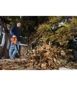 Soffiatore da giardino black + decker 