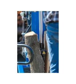 Spaccalegna verticale elettrico ama 