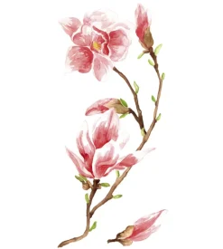 Stickers s magnolia - decoro crearreda.
