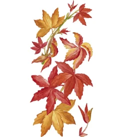 Stickers s vite americana - decoro crearreda.