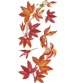 Stickers s vite americana - decoro crearreda.