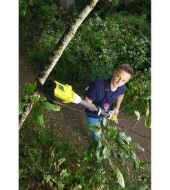 Svettatoio telescopico a batteria ryobi