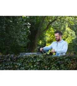 Tagliasiepi a batteria ryobi 