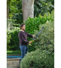 Tagliasiepi a batteria ryobi