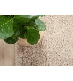 Tappeto "bold" beige, 133x190 cm