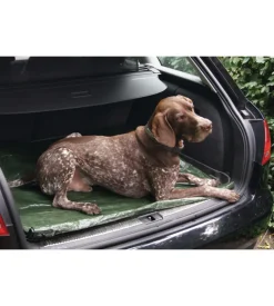 Telo di protezione 2 x 3 mt., 100g