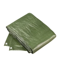 Telo di protezione 10 x 12 mt., 100g