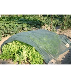 Telo/velo di protezione in tnt verde da 1.6x5 metri - verdemax.