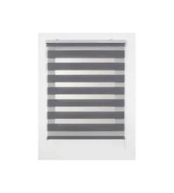 Tenda a rullo "duolux" argento, 140x250 cm