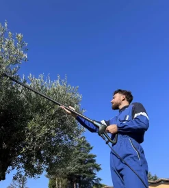 Testa abbacchiatore olive elettrico a batteria campagnola "master" movimento oscillatorio laterale 12v impugnatura a tre punti, cavo elettrico 13 m e cappellino