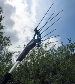 Testa abbacchiatore olive elettrico a batteria campagnola 