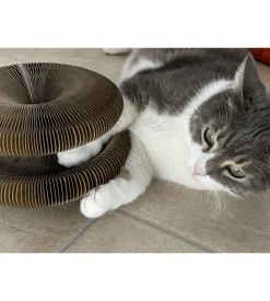 Tiragraffi per gatti "gatto matto"  con pallina sonora