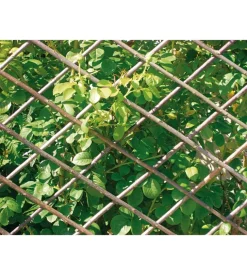 Traliccio estensibile in salice m1,80x0,60 naturale