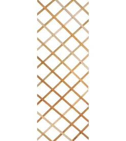 Traliccio esterno legno 1.8x0.6 naturale