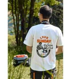 Trinciasarmenti a batteria blue bird 