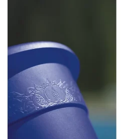 Vaso hedera kristal d. 20 c/sottov