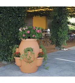 Vaso oasi cotto chiaro