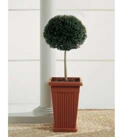 Vaso piramide terracotta