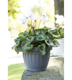 Vaso terra d. 40 grigio