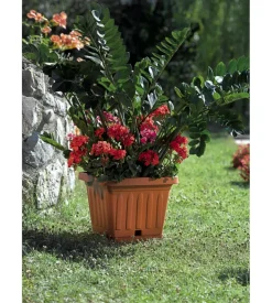 Vaso terra quadrato cm. 30 terracotta