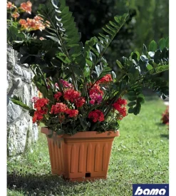 Vaso terra quadrato cm. 30 terracotta