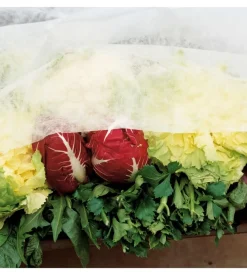 Velo di protezione in non tessuto - 1.6 x 10 metri - verdemax.