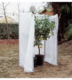 Velo di protezione in non tessuto - 1.6x5 metri - verdemax