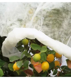 Velo protezione tnt pesante 2x10m