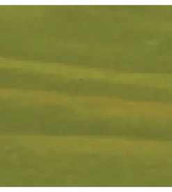 Vernice per legno - vernice pastello camera dei bambini - lucertola - 0,25 litri