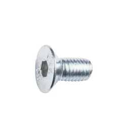 Viti tps con esagono incassato m5 x 20 - 12 pz.